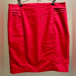 Express Pencil Skirt